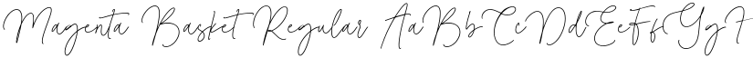 Magenta Basket Regular font