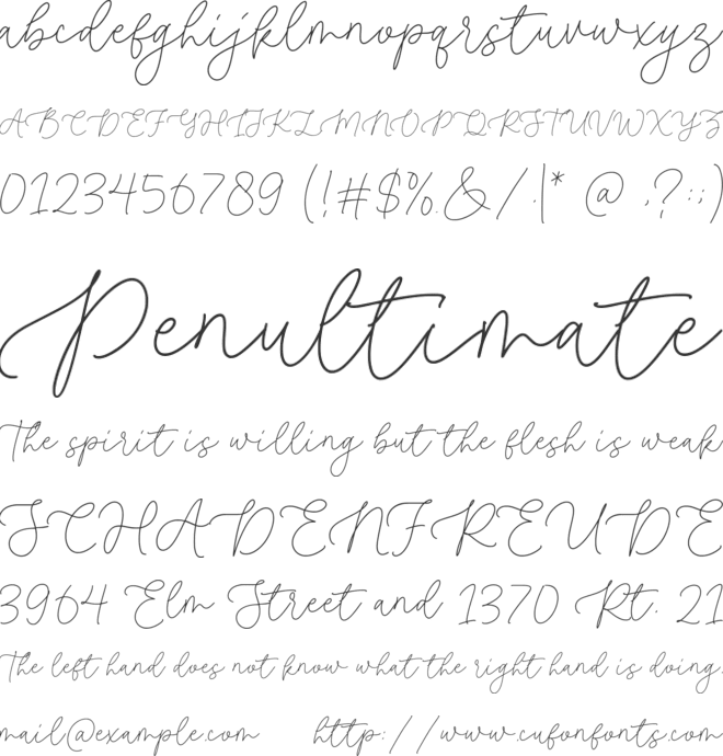 Roseline font preview