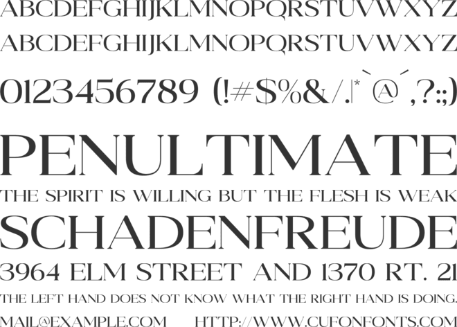 Baroon Casooal font preview