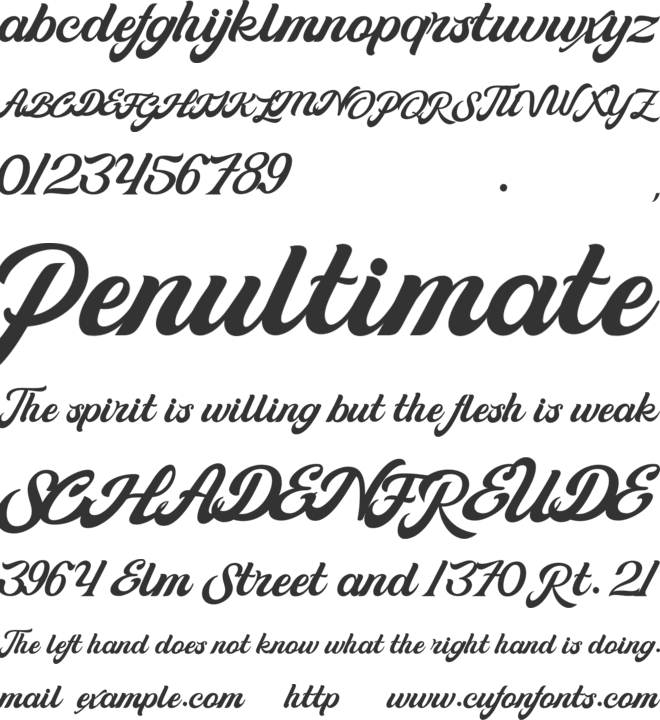 Suitnice retro font preview