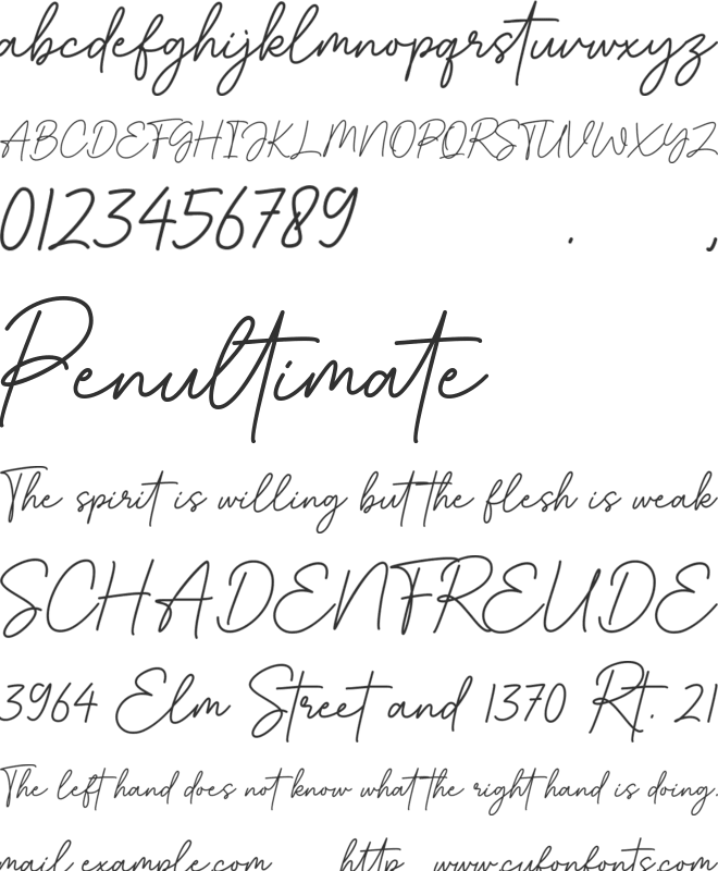 Bestina Signature font preview