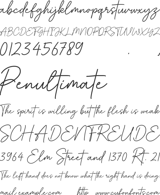 Bestina Signature font preview
