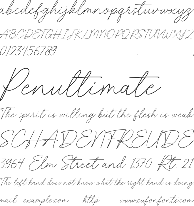 Charlie Script font preview