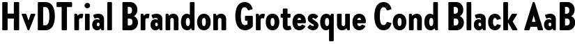 HvDTrial Brandon Grotesque Cond Black font