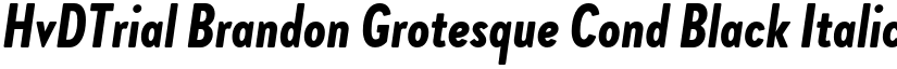 HvDTrial Brandon Grotesque Cond Black Italic font