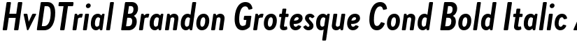 HvDTrial Brandon Grotesque Cond Bold Italic font
