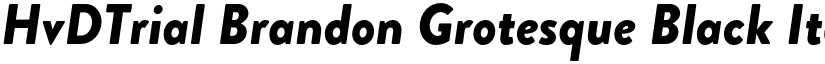 HvDTrial Brandon Grotesque Black Italic font