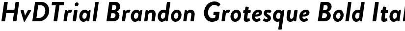 HvDTrial Brandon Grotesque Bold Italic font