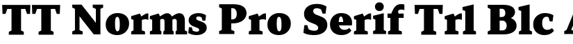 TT Norms Pro Serif Trl Blc font