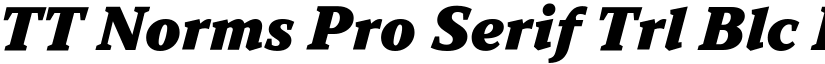 TT Norms Pro Serif Trl Blc It font