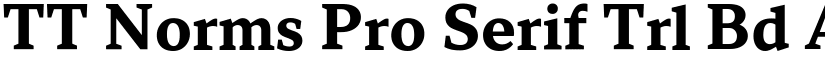 TT Norms Pro Serif Trl Bd font