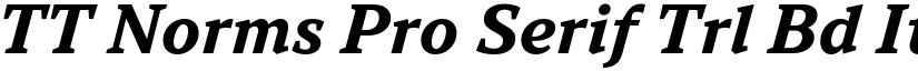 TT Norms Pro Serif Trl Bd It font