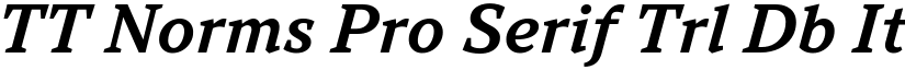 TT Norms Pro Serif Trl Db It font
