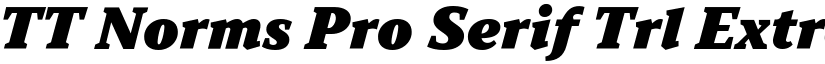 TT Norms Pro Serif Trl ExtraBlc It font