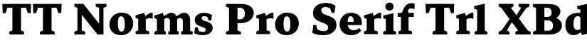 TT Norms Pro Serif Trl XBd font