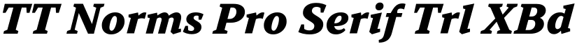 TT Norms Pro Serif Trl XBd It font