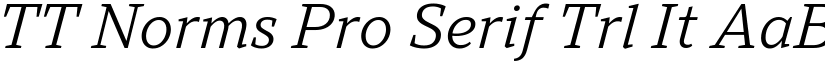 TT Norms Pro Serif Trl It font