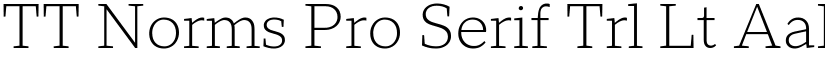 TT Norms Pro Serif Trl Lt font