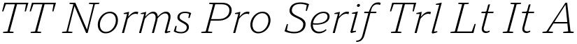 TT Norms Pro Serif Trl Lt It font