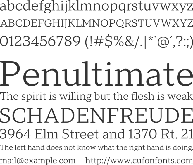 TT Norms Pro Serif Trl font preview
