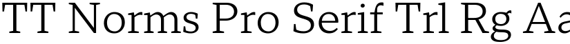 TT Norms Pro Serif Trl Rg font