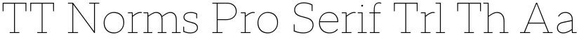 TT Norms Pro Serif Trl Th font