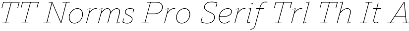 TT Norms Pro Serif Trl Th It font