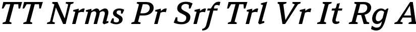 TT Nrms Pr Srf Trl Vr It Rg (Variable) font