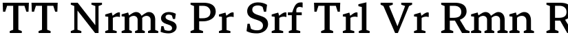 TT Nrms Pr Srf Trl Vr Rmn Rg (Variable) font
