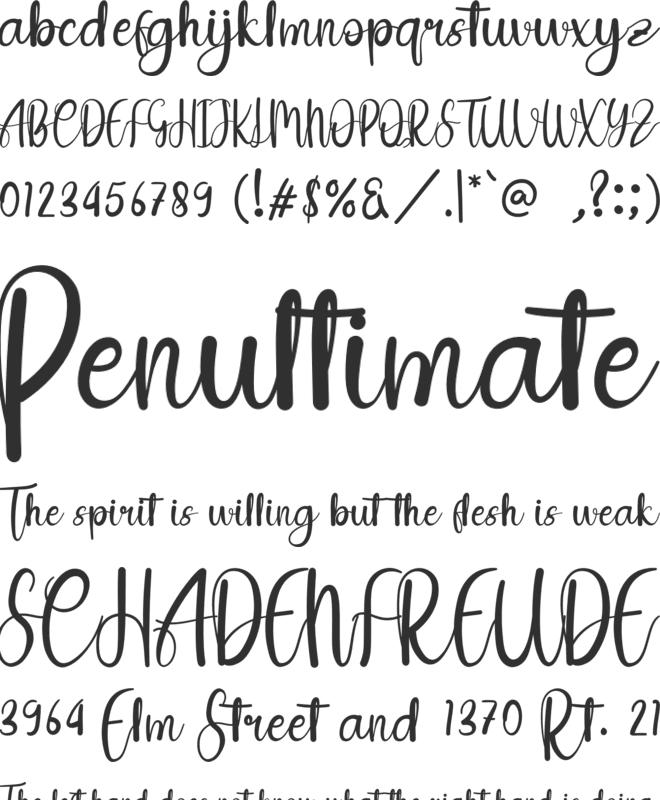 My Wive font preview