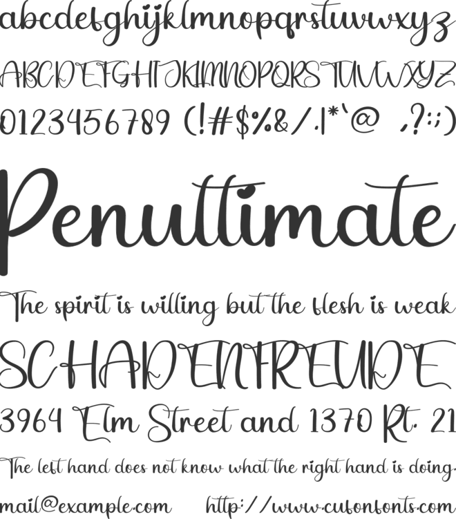 Drink font preview