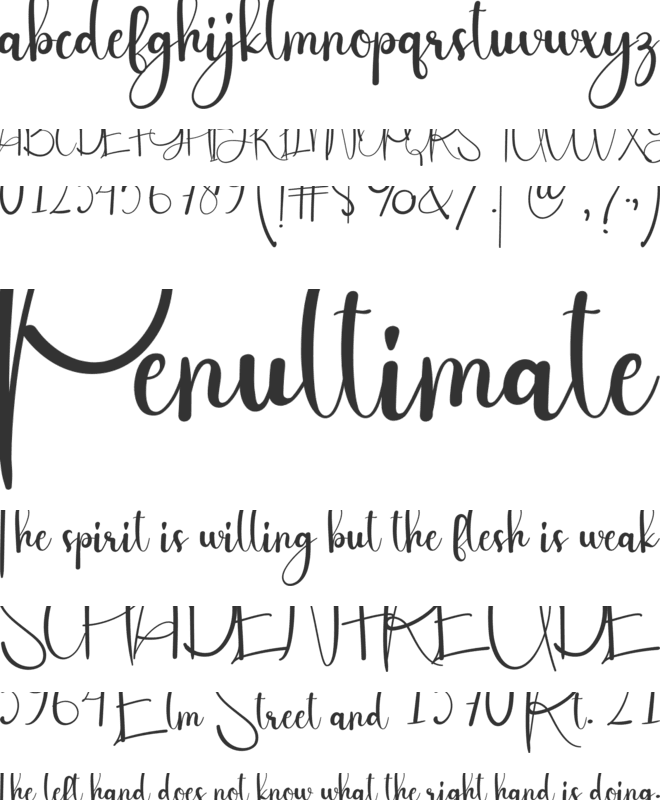 Hay Cinderella font preview