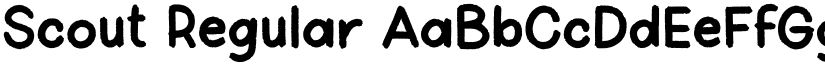 Scout Regular font