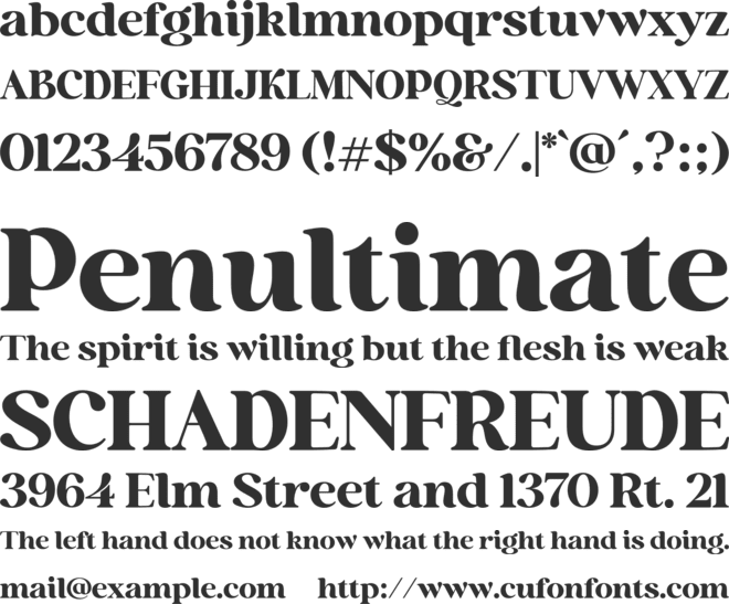 Holen Vintage font preview