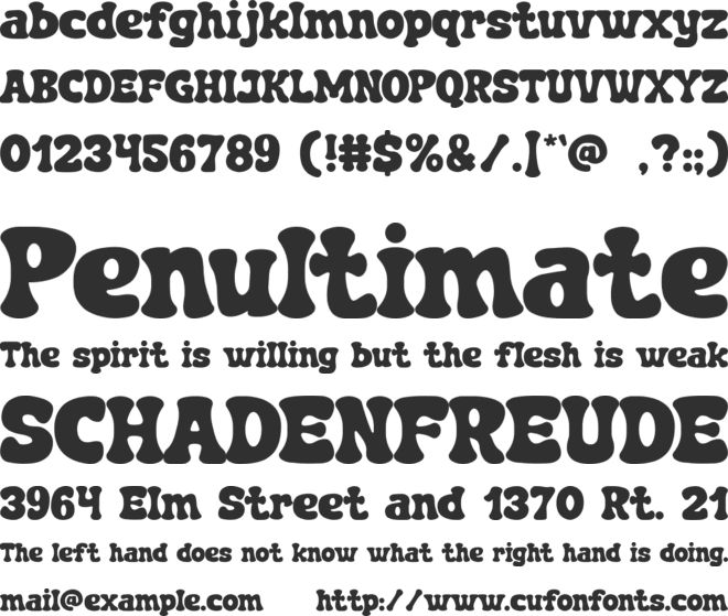 Cactus-Town font preview