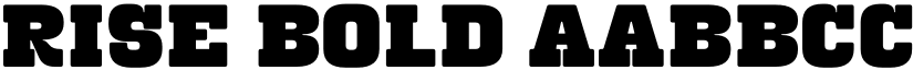 Rise Bold font