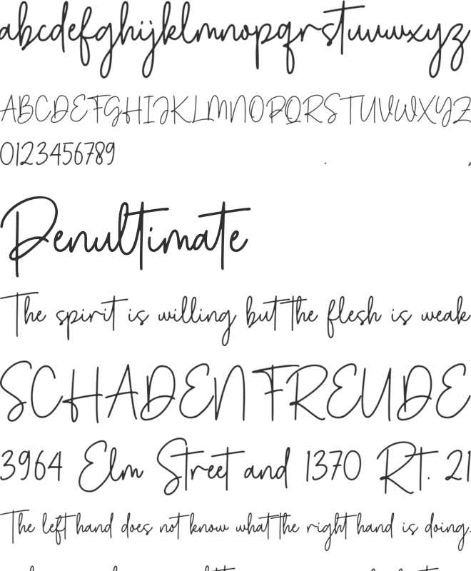 Deltany Signature font preview