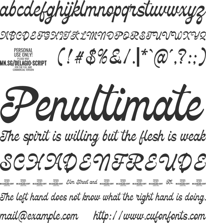 Delagio Script PERSONAL USE font preview