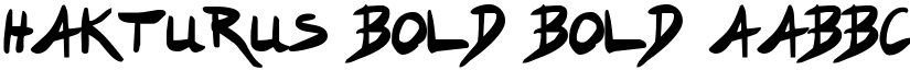 Hakturus Bold Bold font
