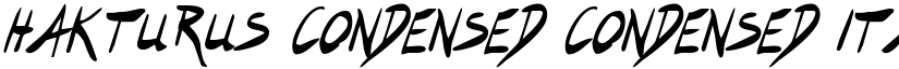 Hakturus Condensed Condensed Italic font