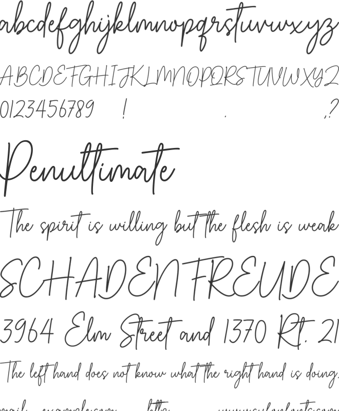 Just Shemy font preview