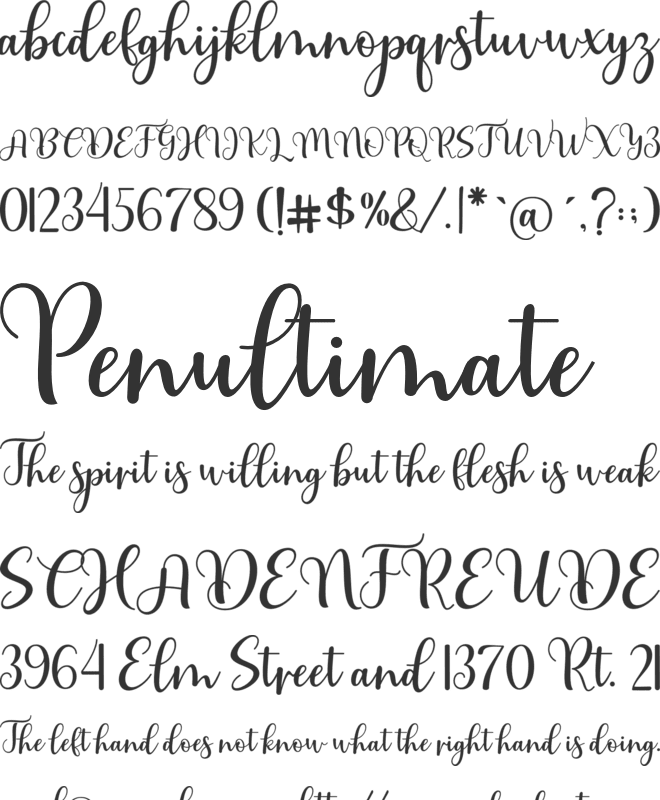 Brithney Castile font preview