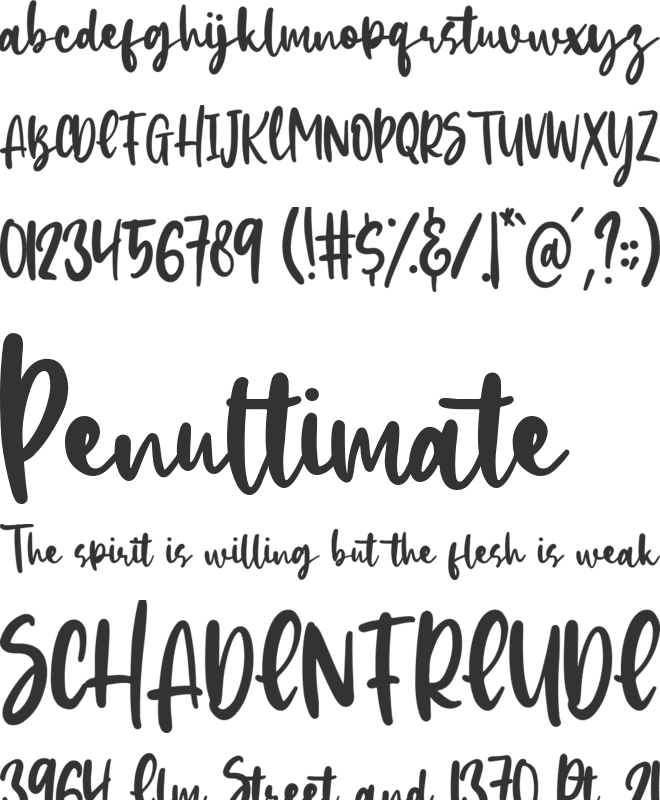 Hachiko font preview