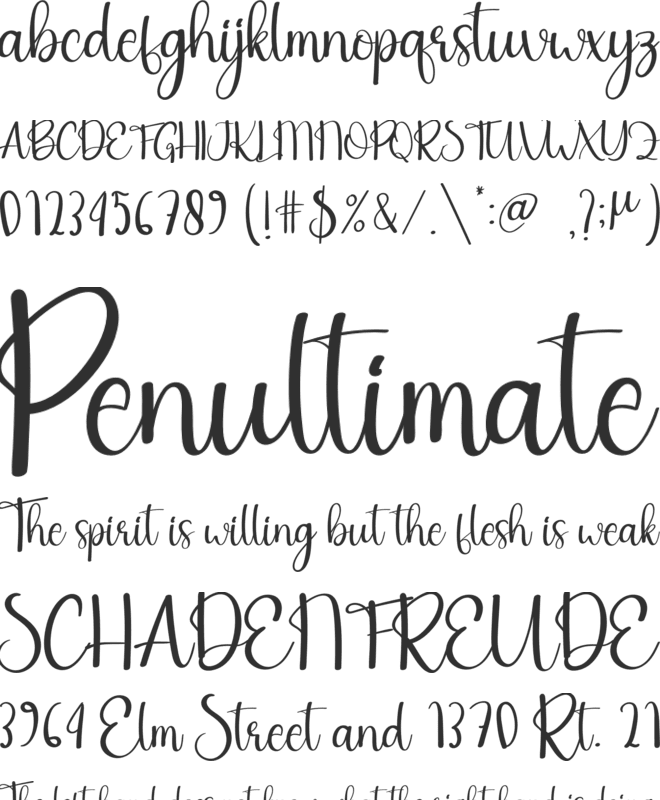 The Sunday font preview