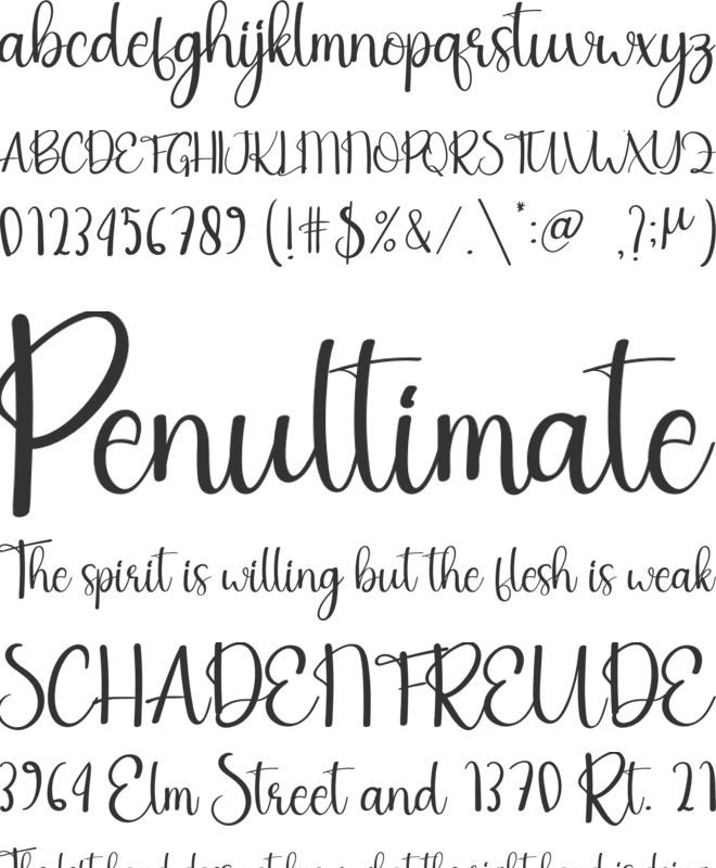 The Sunday font preview