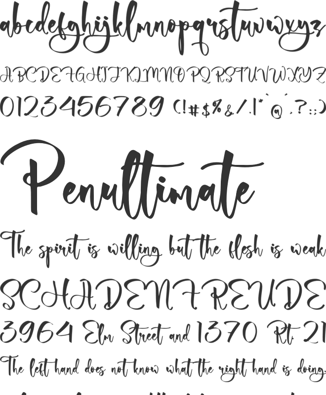 Sagedinta font preview
