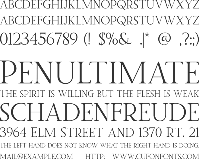 Twice Writing Serif font preview