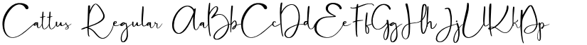 Cattus Regular font