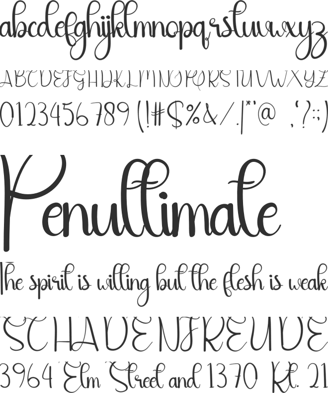 Notebook font preview