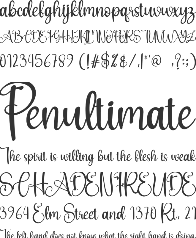 Nativity font preview